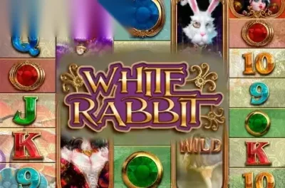 White Rabbit